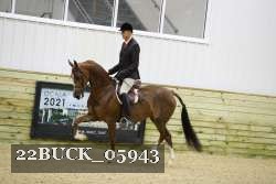 22BUCK_05943 proof