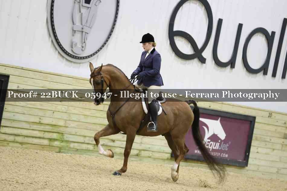 Proof 22BUCK_05947