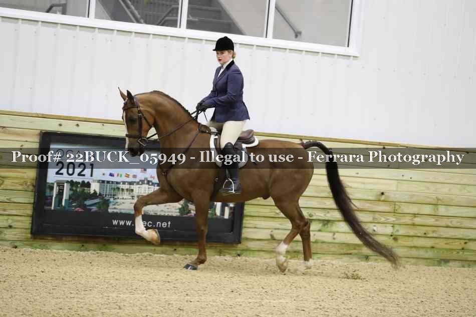 Proof 22BUCK_05949