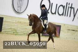 22BUCK_05950 proof
