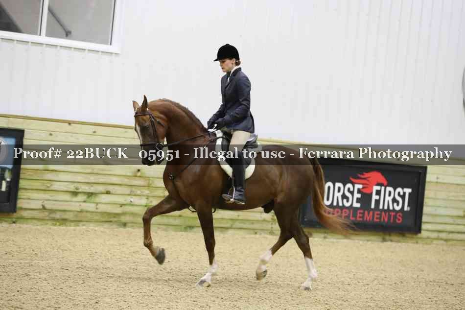 Proof 22BUCK_05951