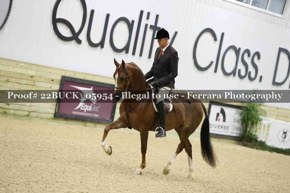 Proof 22BUCK_05954