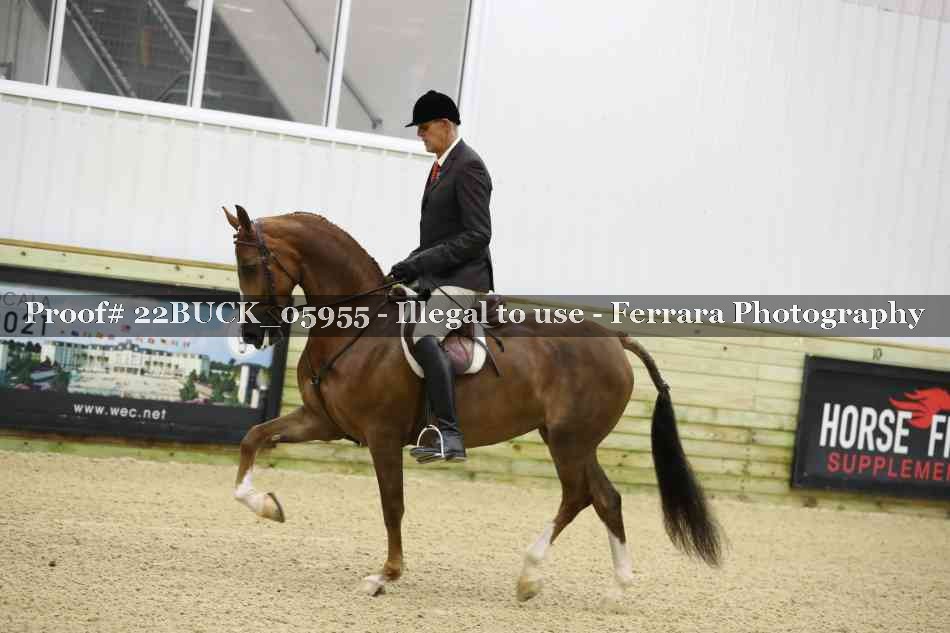 Proof 22BUCK_05955