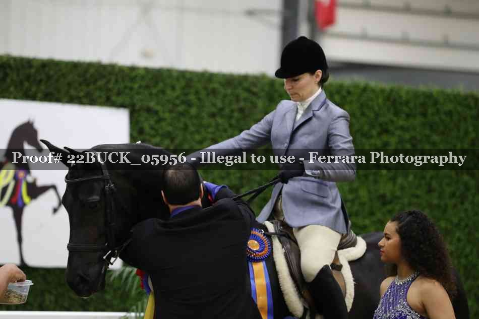 Proof 22BUCK_05956