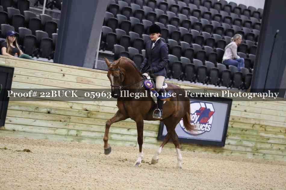 Proof 22BUCK_05963