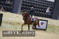 22BUCK_05963 proof