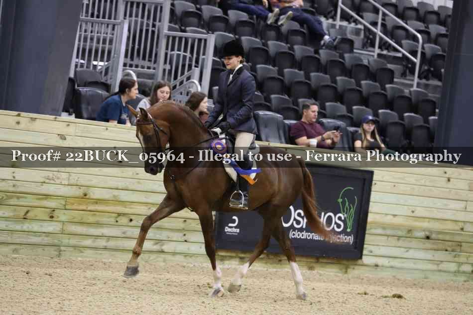 Proof 22BUCK_05964