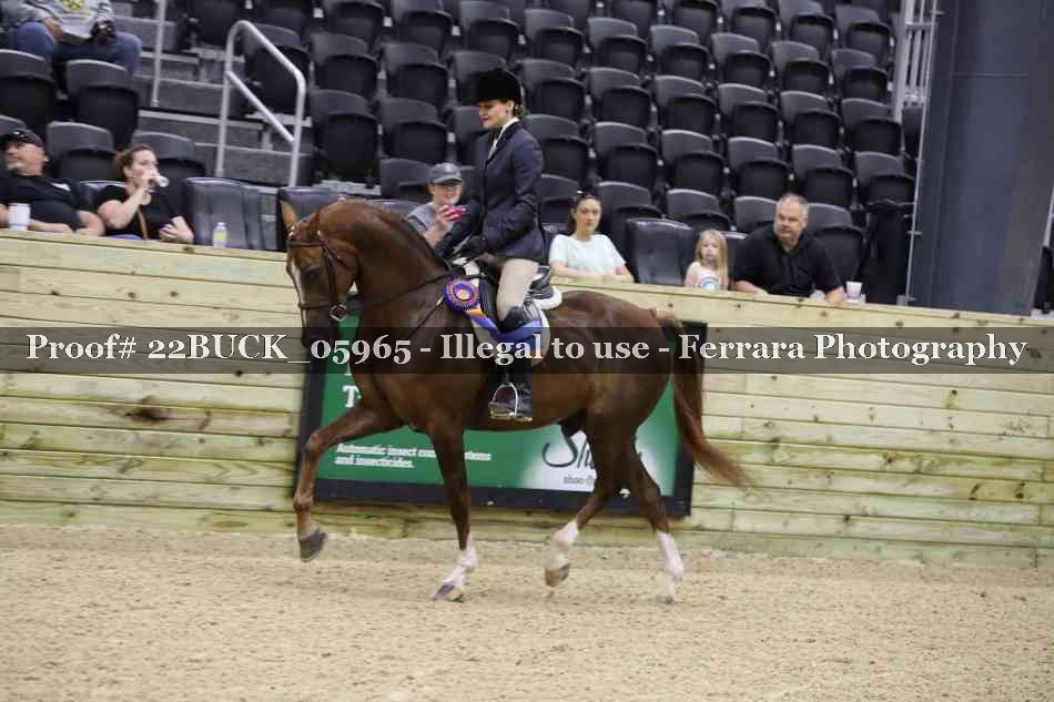 Proof 22BUCK_05965