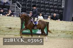 22BUCK_05965 proof