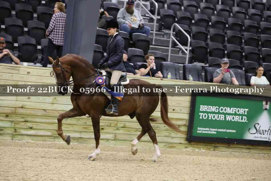 Proof 22BUCK_05966
