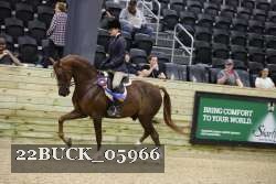 22BUCK_05966 proof