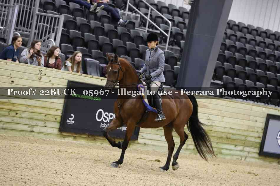 Proof 22BUCK_05967