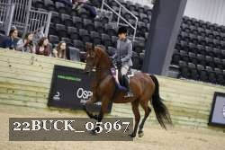 22BUCK_05967 proof