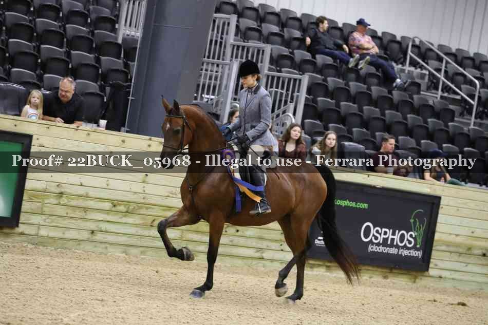Proof 22BUCK_05968