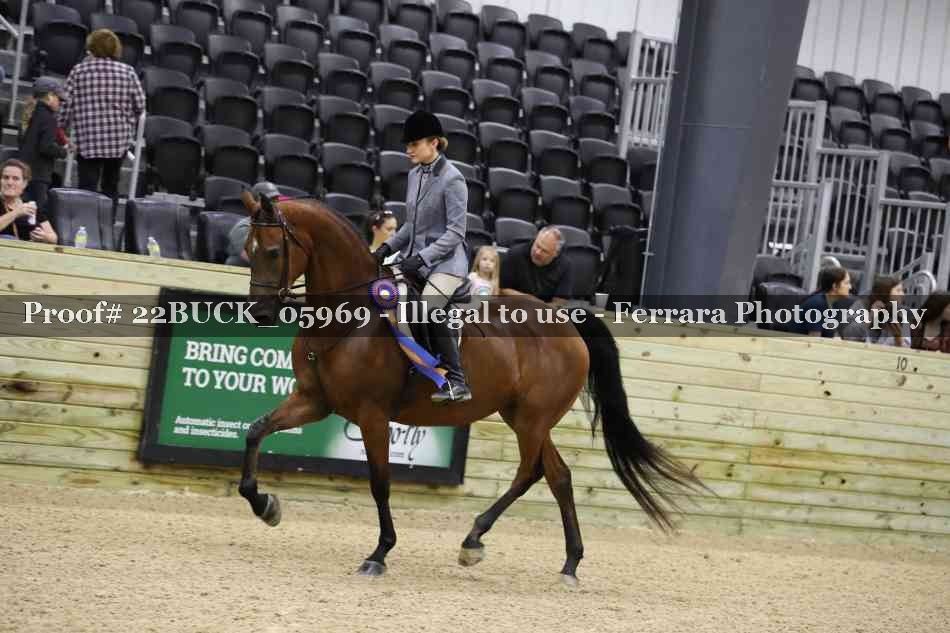 Proof 22BUCK_05969