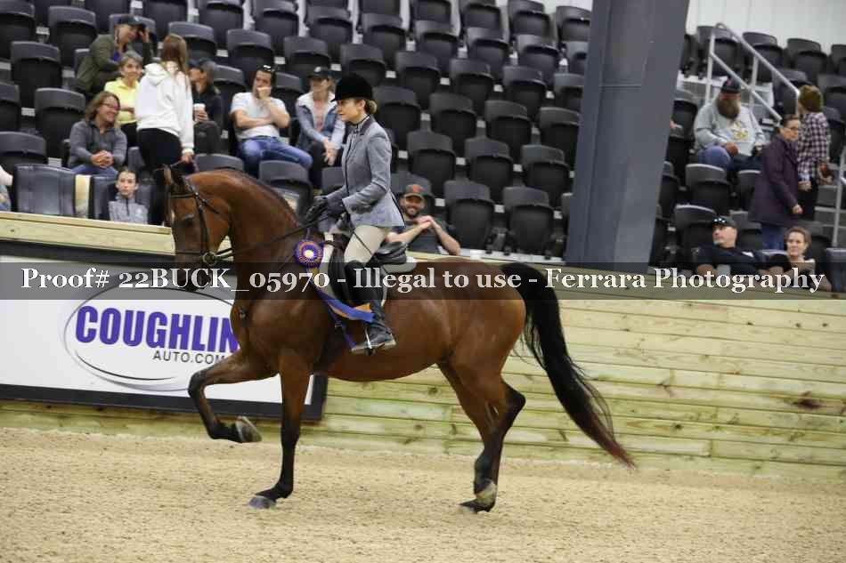 Proof 22BUCK_05970