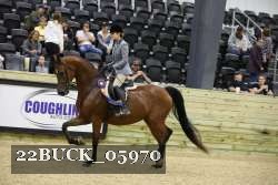 22BUCK_05970 proof