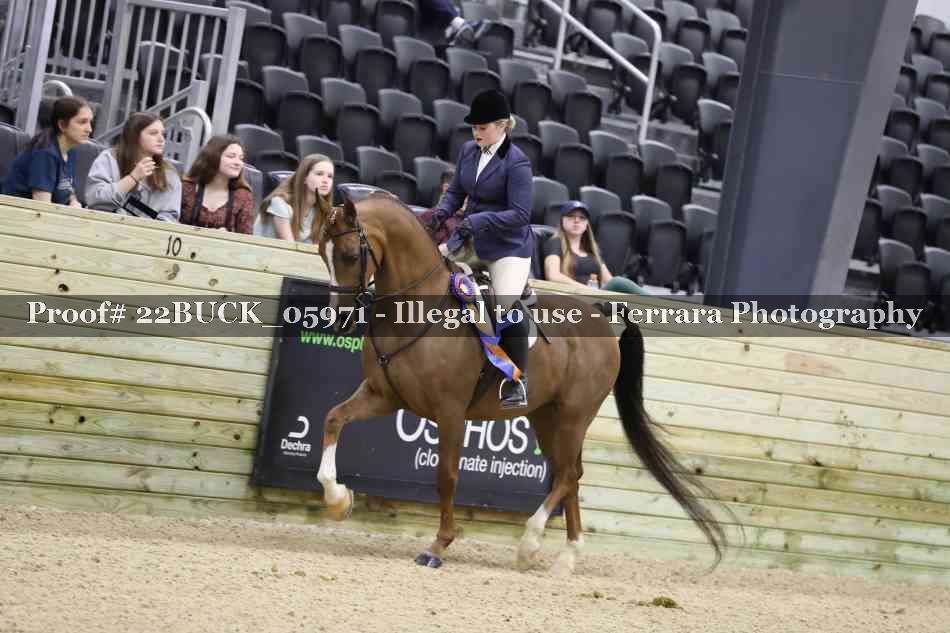 Proof 22BUCK_05971