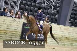 22BUCK_05971 proof