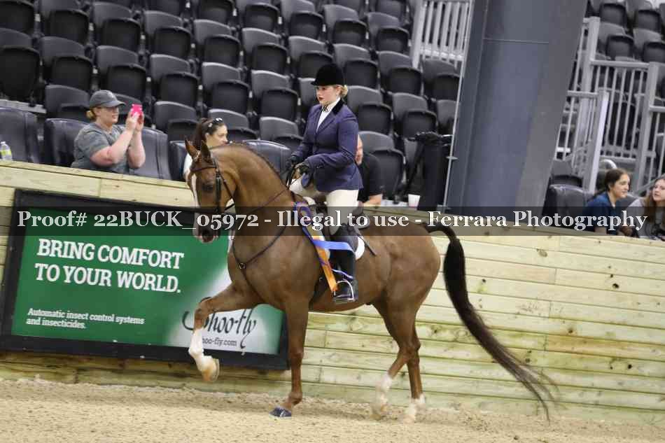 Proof 22BUCK_05972
