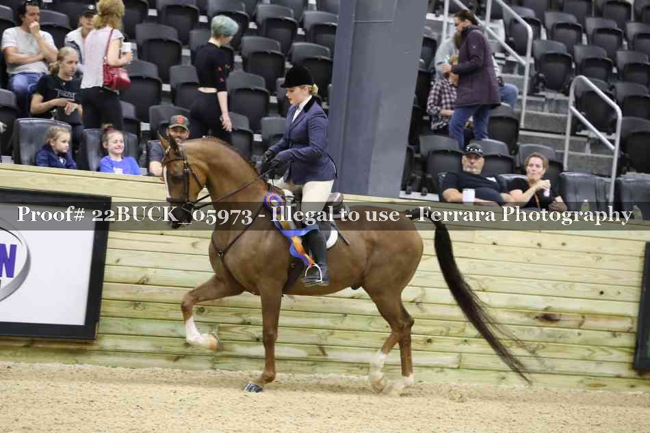 Proof 22BUCK_05973