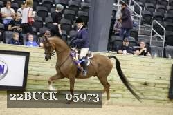 22BUCK_05973 proof