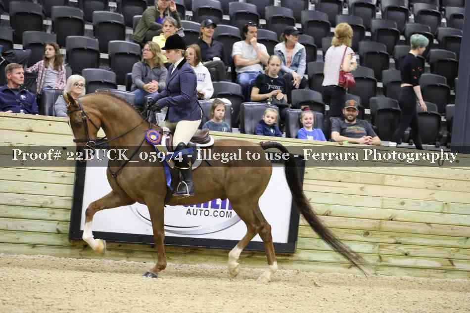 Proof 22BUCK_05974