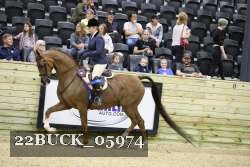 22BUCK_05974 proof
