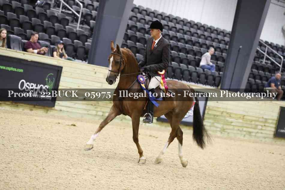 Proof 22BUCK_05975