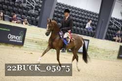 22BUCK_05975 proof