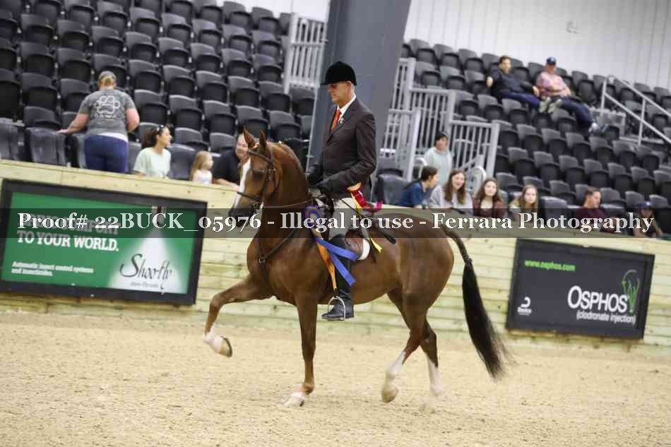 Proof 22BUCK_05976