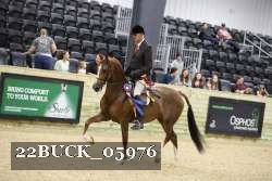 22BUCK_05976 proof