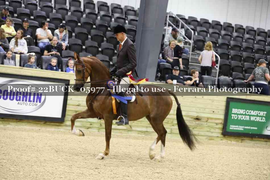 Proof 22BUCK_05977