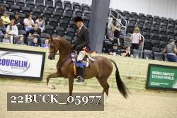 22BUCK_05977 proof