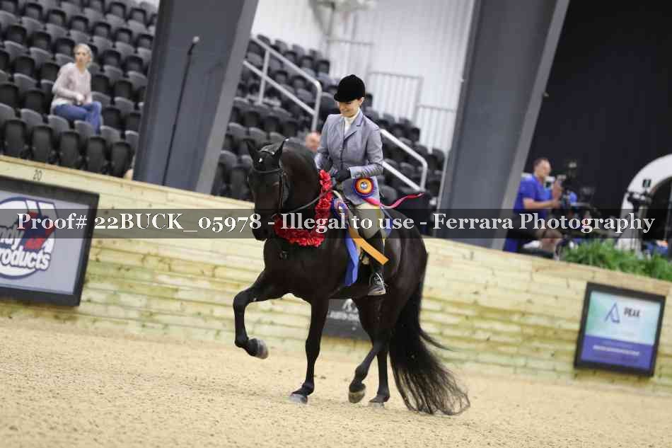 Proof 22BUCK_05978