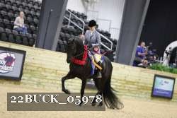 22BUCK_05978 proof