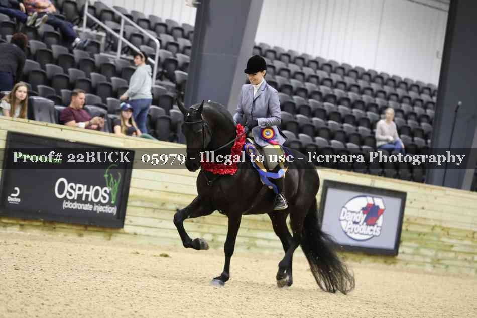 Proof 22BUCK_05979