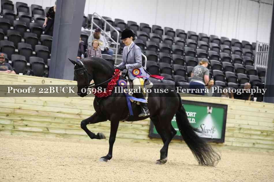 Proof 22BUCK_05981