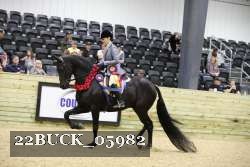 22BUCK_05982 proof