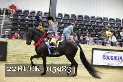 22BUCK_05983 proof