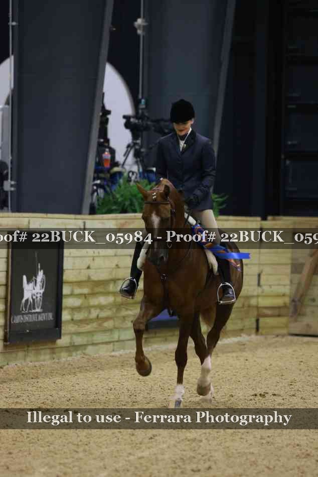 Proof 22BUCK_05984