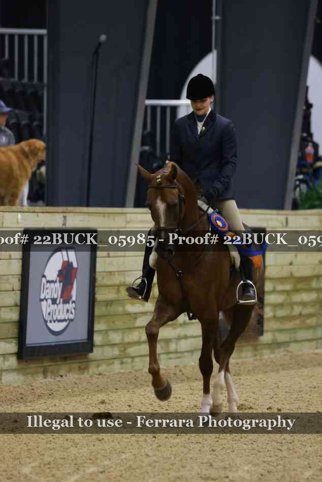 Proof 22BUCK_05985