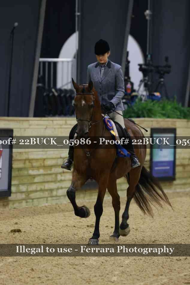 Proof 22BUCK_05986