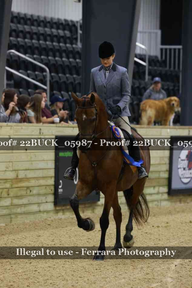 Proof 22BUCK_05987
