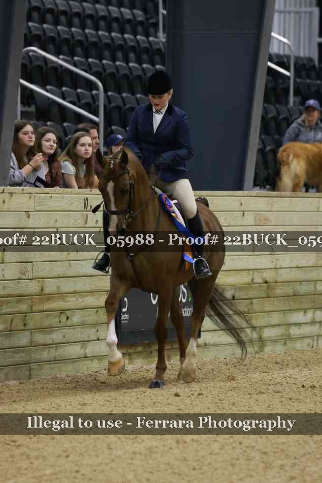 Proof 22BUCK_05988