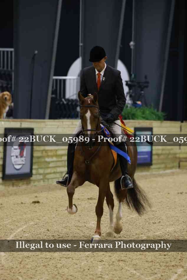 Proof 22BUCK_05989