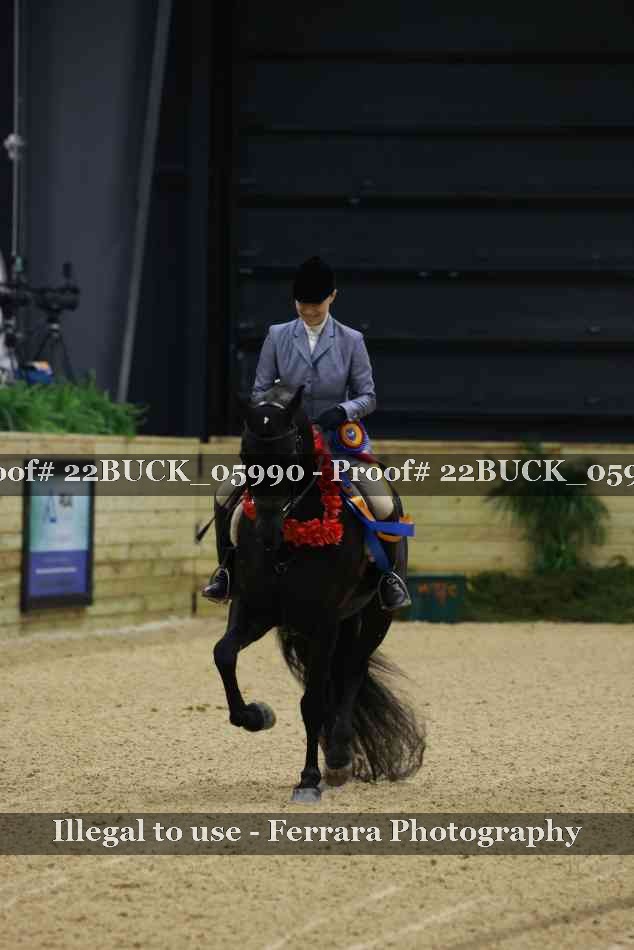 Proof 22BUCK_05990
