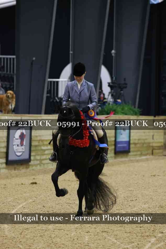 Proof 22BUCK_05991
