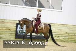 22BUCK_05995 proof