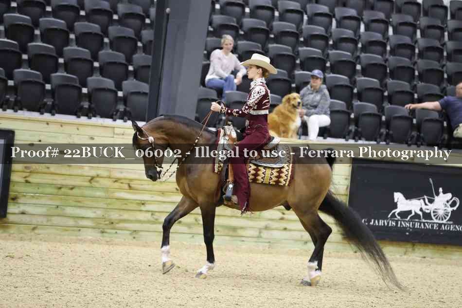 Proof 22BUCK_06002